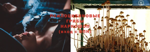 прущий лед Дмитров