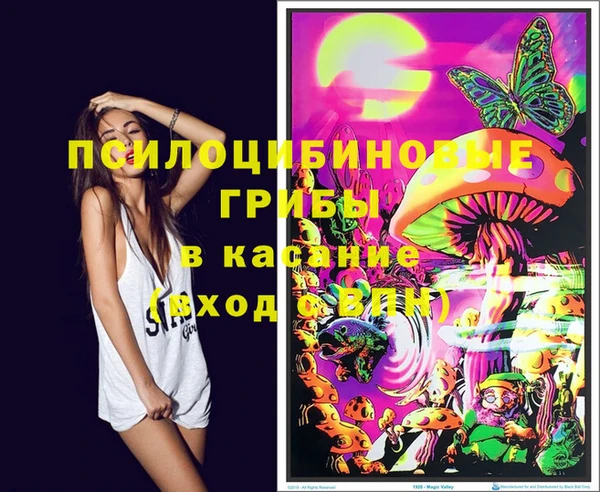 прущий лед Дмитров