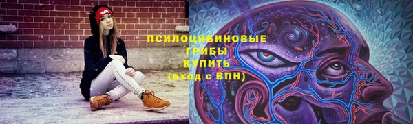 прущий лед Дмитров