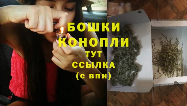 прущая мука Дмитриев