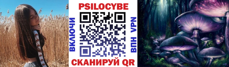 Галлюциногенные грибы Psilocybe  купить   Пикалёво 